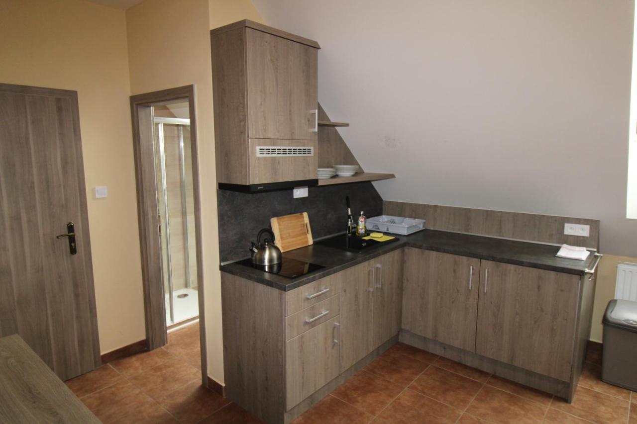 Borovec Hotel Sedlnice Buitenkant foto